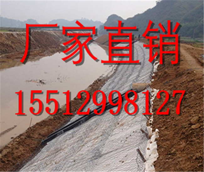 雷诺护垫厂家 资深雷诺护垫生产厂家