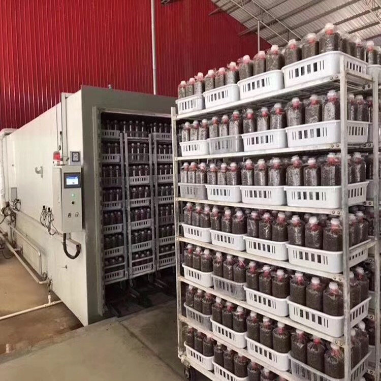 全自动高压灭菌器 方形灭菌器