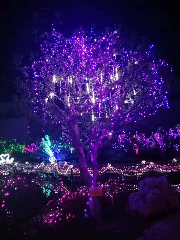 灯光节彩灯,定制造型灯