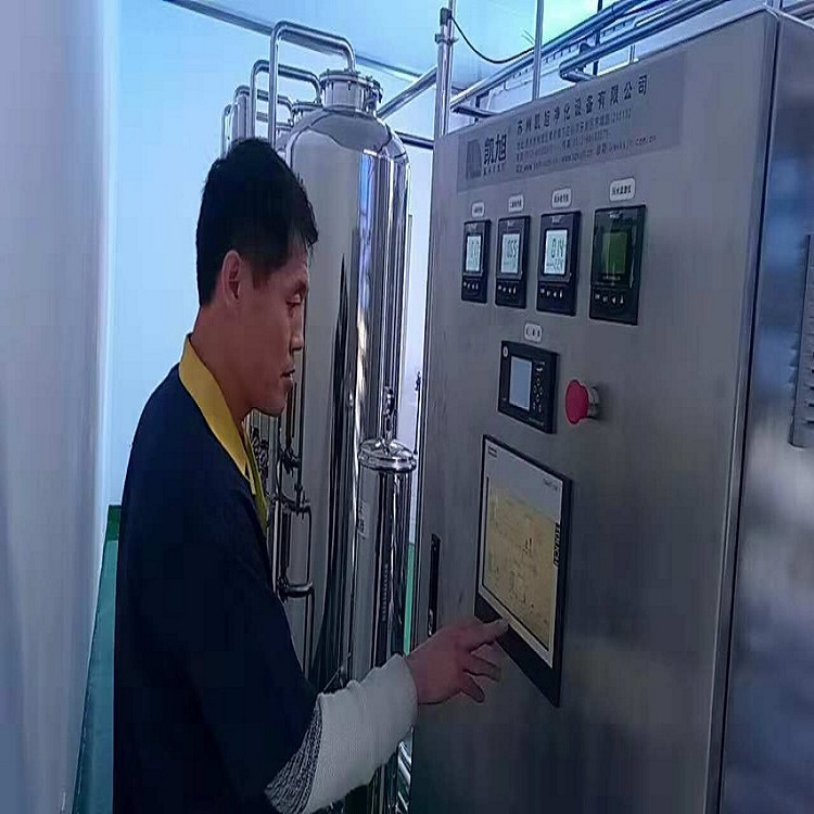 反渗透纯化水设备 保健品纯化水设备