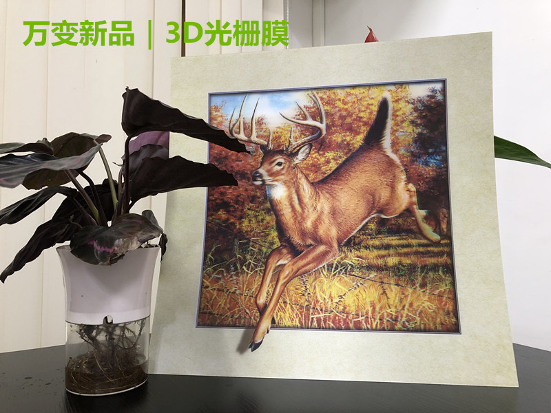 3D变幻卡、3D光栅立体画、裸眼3D光栅膜、厂家直销可定制
