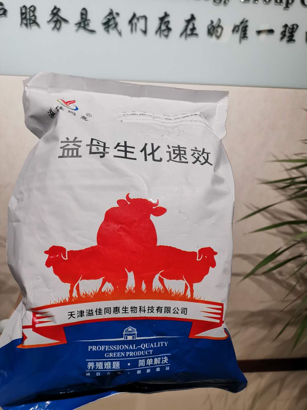 产后胎衣不下恶露不尽