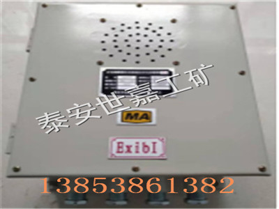 陕西ZB127矿用广播系统,ZB127本安型广播装置价格