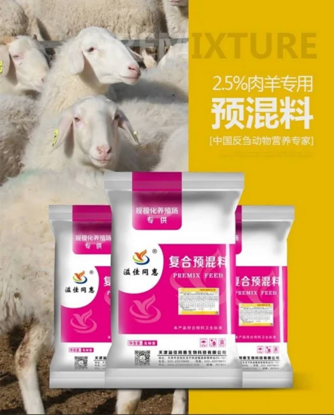 天津肉羊饲料肉羊预混料