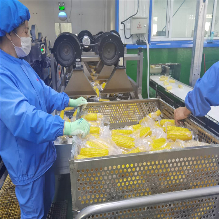 玉米高温杀菌锅 鲜玉米高温杀菌锅