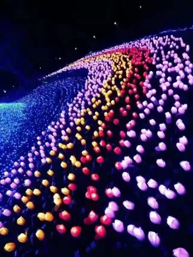 太阳能路灯龙腾型中国结