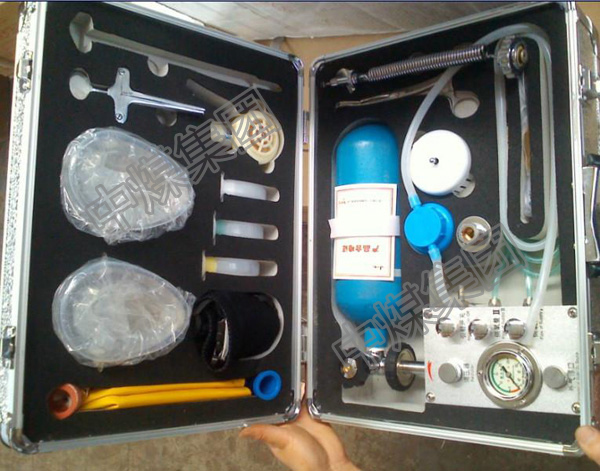 自动苏生器 MZS-30自动苏生器 氧气苏生器