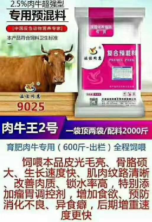 肉牛预混料,肉牛饲料