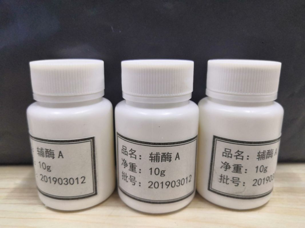 厂家生产辅酶A缓冲剂包装,含量