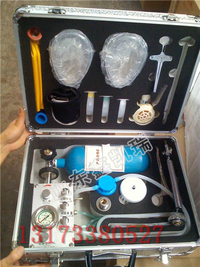 矿用MZS30自动苏生器原理,自动苏生器功能