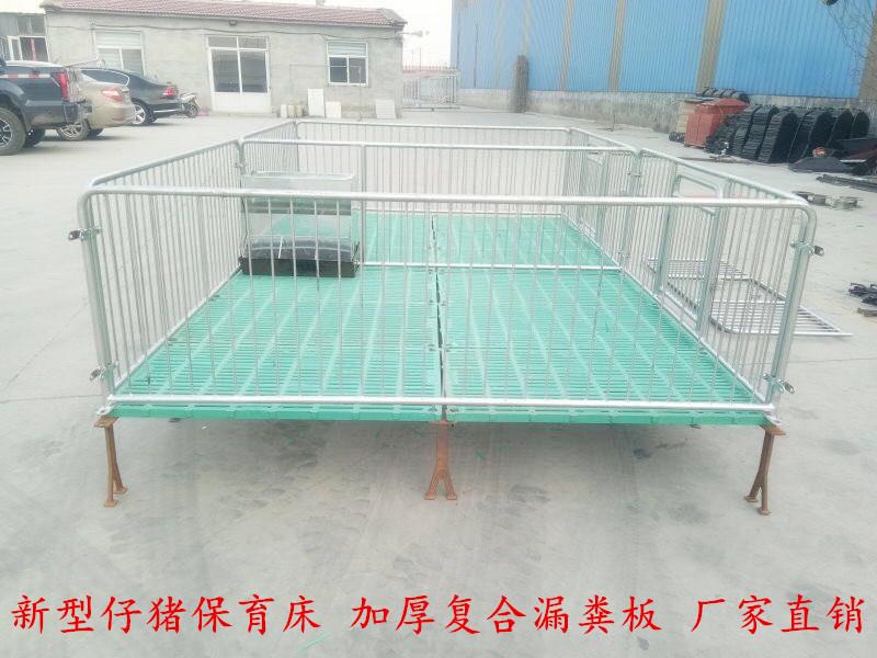 崽猪保育床 猪用床誉嘉出售