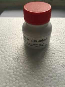 蛋白酶k厂家直销