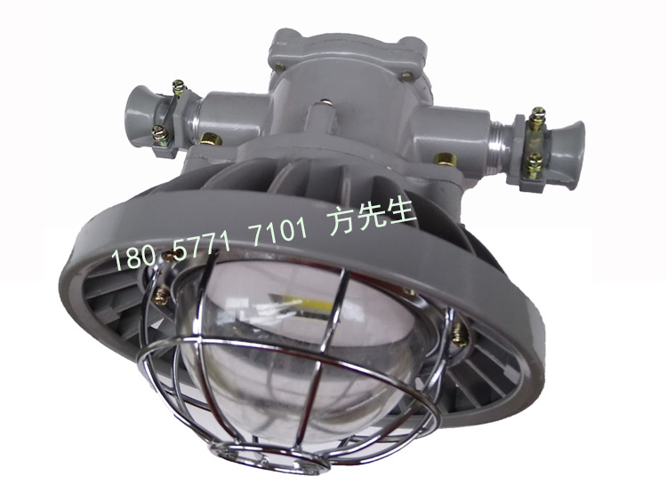 DGS30/127L矿用隔爆型LED巷道灯