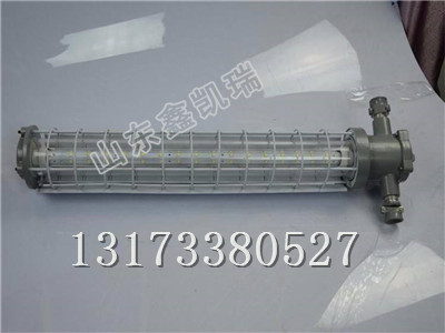 DGS48/127L矿用隔爆巷道灯,LED巷道灯厂家