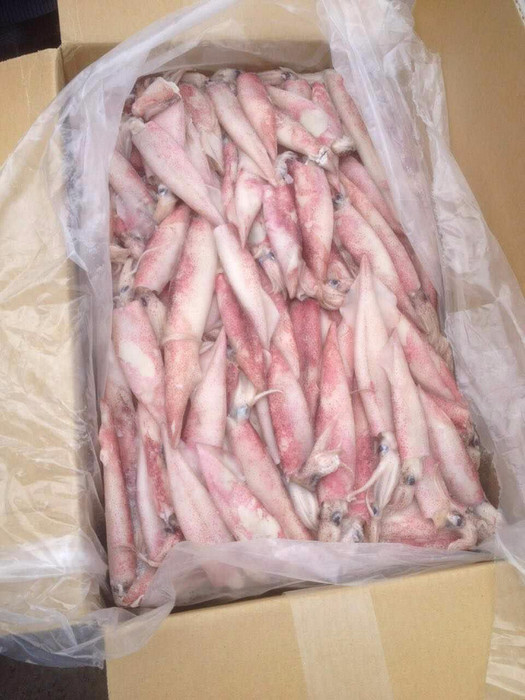 进口鸡爪清关报关