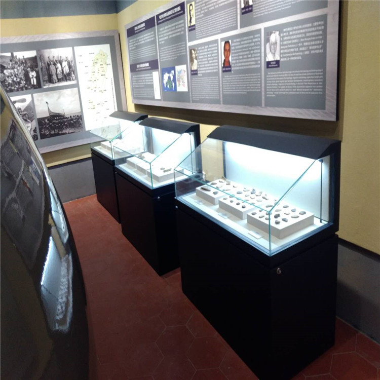提供博物馆展柜惠州隆城展示展柜厂家定制-隆城博具