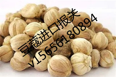 北京豆蔻报关代理公司
