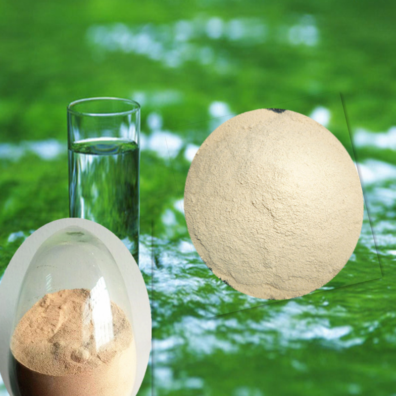 好氧菌 好氧池专用适用于各种污水处理