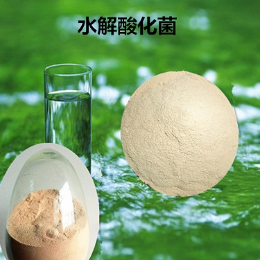 水解酸化菌种 污水处理 水解酸化专用菌 污水处理 厂家