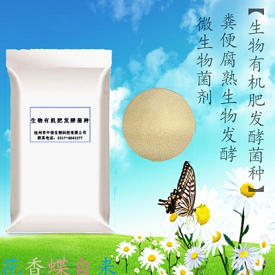 生物有机肥发酵菌种200亿微生物菌剂 粪便腐熟生物发酵厂家