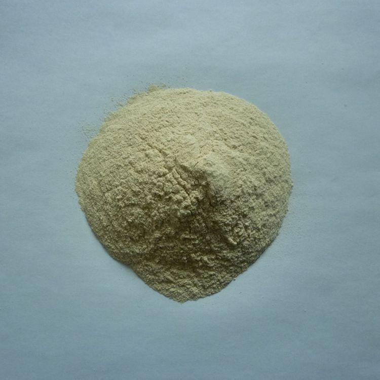 脂肪酶10000μ,分解脂肪,厂家