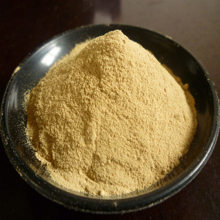 产朊假丝酵母菌 含 蛋白 维生素 微生物菌 厂家供应