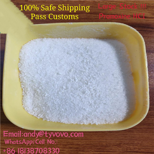Factory Supply 99% Purity Pramoxine HCL Powder CAS 637-58-1