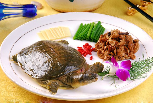 甲鱼调味料厂家供应