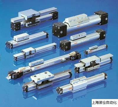 P210/20-10-600 ORIGA无杆气缸