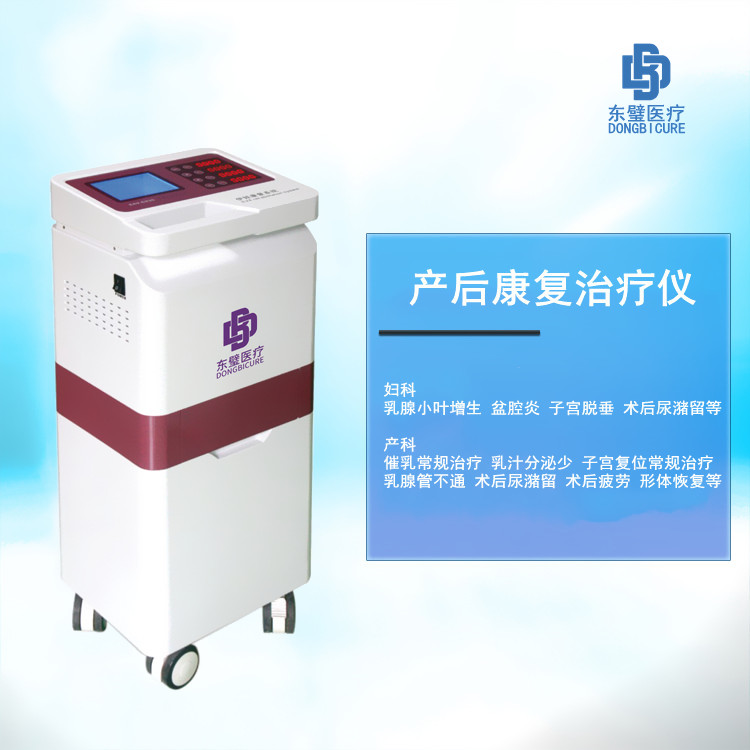 产后妇科治疗仪 理疗电极片 东璧医疗设备
