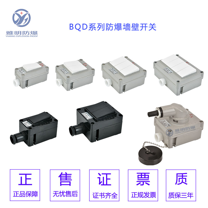 BQM-10A220VIIS双控粉尘防爆照明开关