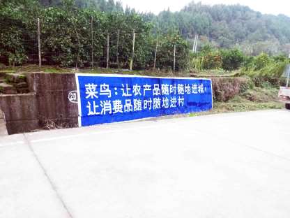 广元墙体广告,广元外墙喷绘广告,广元墙绘多少钱