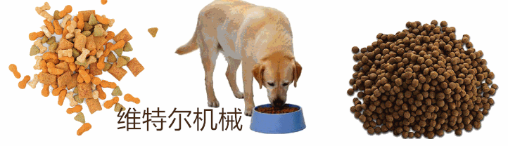 宠物膨化饲料机 玉米膨化饲料机 大豆膨化饲料机 河南维特尔机械