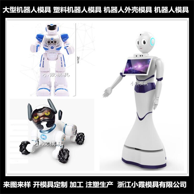 机器人外壳塑料模具制造商