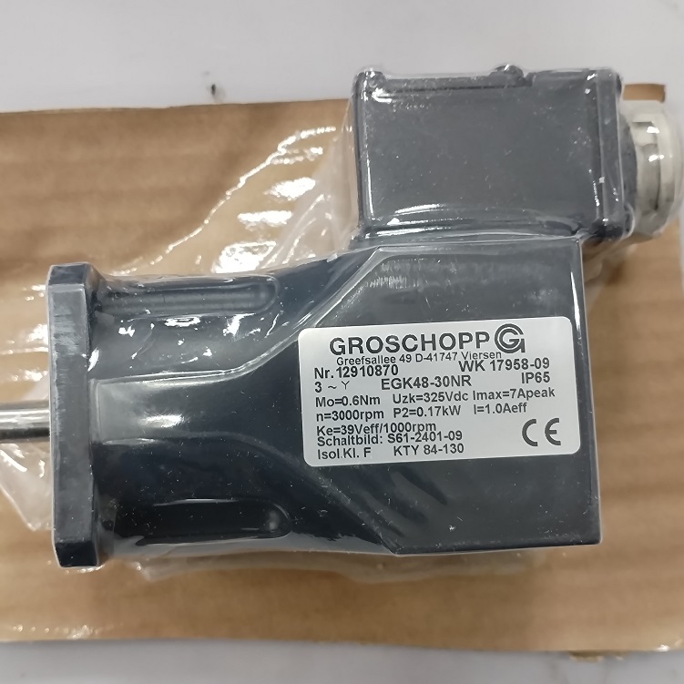 GROSCHOPP,GROSCHOPP电机EGK48-30NR