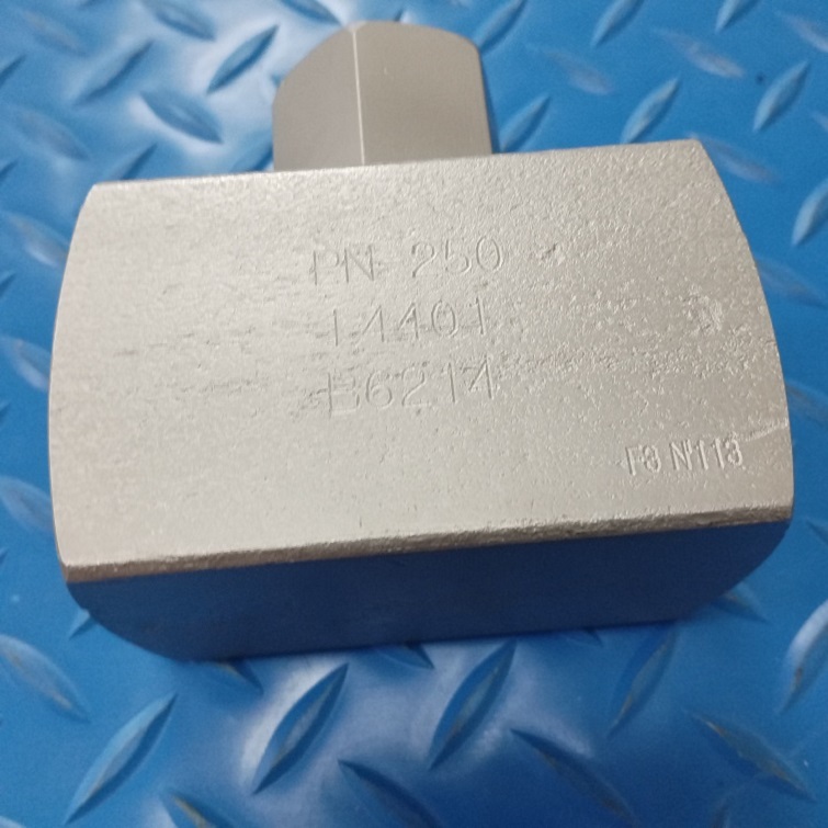 VYC,VYC安全阀PN250.R.1".NPT