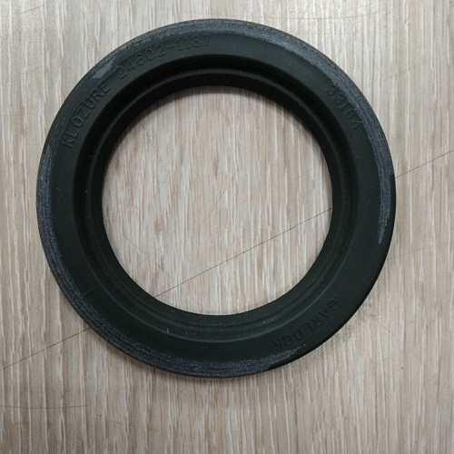 Garlock,Garlock密封24602-1187