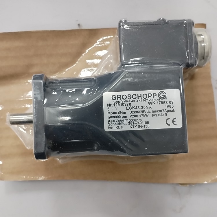 GROSCHOPP,GROSCHOPP电机EGK48-30NR