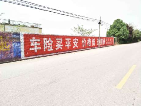 1635750199613974.jpg 平安保险陕西地区(手绘)墙体广告精选照片远景1 (1).jpg