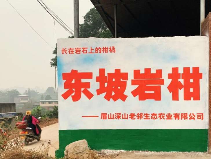 1636453149318036.jpg QQ截图20211104084613.jpg
