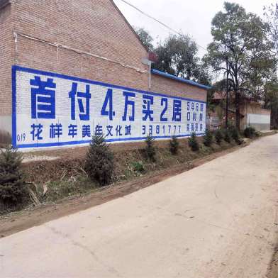 1640142166647036.jpg 花样年美泾川地区(手绘)墙体广告精选照片远景2.jpg