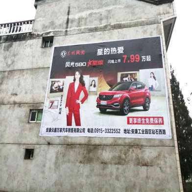 1640142446218628.jpg 东风风光安康地区(喷绘)墙体广告精选照片近景4.jpg