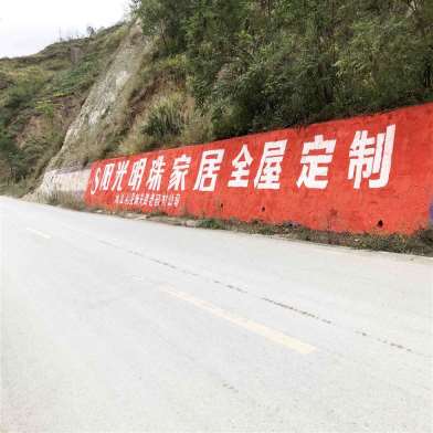 1640142556444396.jpg 阳光明珠家居(手绘)墙体广告精选照片近景3.jpg